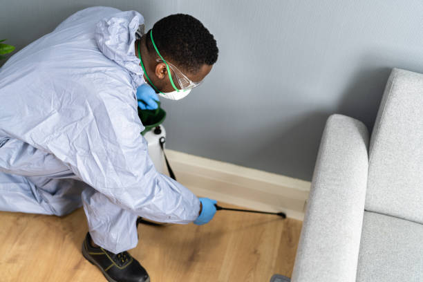 Professional Pest Control in Dayton, OR